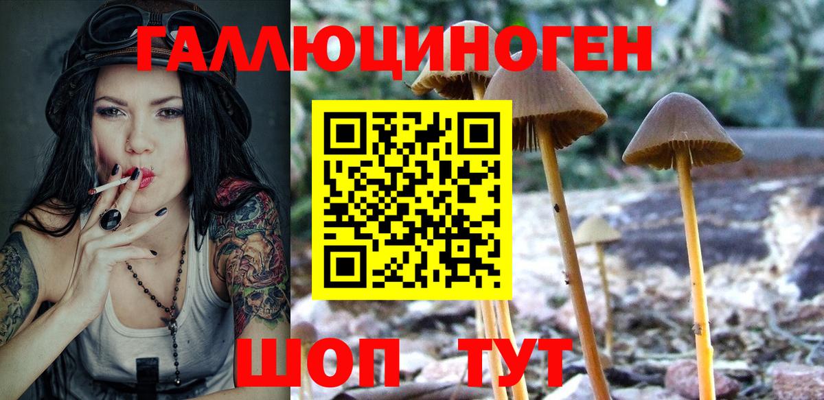 Ишим  Псилоцибиновые грибы Psilocybine cubensis  Псилоцибиновые грибы MAGIC MUSHROOMS  Вход с VPN 
